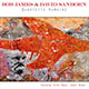disk1